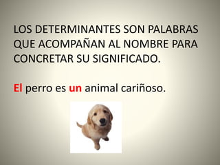 LOS DETERMINANTES SON PALABRAS
QUE ACOMPAÑAN AL NOMBRE PARA
CONCRETAR SU SIGNIFICADO.
El perro es un animal cariñoso.
 