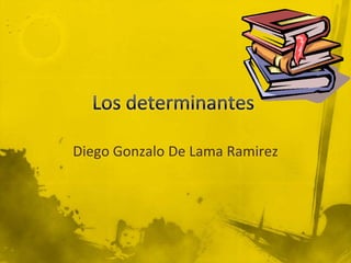 Los determinantes Diego Gonzalo De Lama Ramirez 