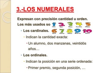 3.-LOS NUMERALES
Expresan con precisión cantidad u orden.
Los más usados son:
◦ Los cardinales.
 Indican la cantidad exacta:
 Un alumno, dos manzanas, veintidós
años…
◦ Los ordinales.
 Indican la posición en una serie ordenada:
 Primer premio, segunda posición, …
 