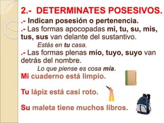 2.- DETERMINATES POSESIVOS.
.- Indican posesión o pertenencia.
.- Las formas apocopadas mi, tu, su, mis,
tus, sus van delante del sustantivo.
Estás en tu casa.
.- Las formas plenas mío, tuyo, suyo van
detrás del nombre.
Lo que piense es cosa mía.
Mi cuaderno está limpio.
Tu lápiz está casi roto.
Su maleta tiene muchos libros.
 