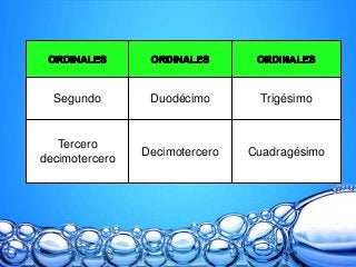Segundo Duodécimo Trigésimo
Tercero
decimotercero
Decimotercero Cuadragésimo
 