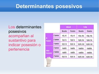 Determinantes posesivos 
Los determinantes 
posesivos 
acompañan al 
sustantivo para 
indicar posesión o 
pertenencia 
 