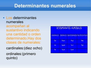 Determinantes numerales 
 Los determinantes 
numerales 
acompañan al 
sustantivo indicando 
una cantidad o orden 
determinado.Hay dos 
clases de numerales: 
cardinales:(diez ocho) 
ordinales:(primero 
quinto) 
 