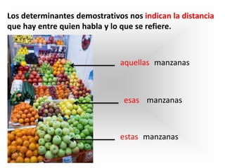Los determinantes demostrativos nos indican la distancia
que hay entre quien habla y lo que se refiere.
manzanasestas
manzanasesas
manzanasaquellas
 