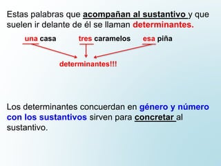 Estas palabras que acompañan al sustantivo y que
suelen ir delante de él se llaman determinantes.
una casa tres caramelos esa piña
determinantes!!!
Los determinantes concuerdan en género y número
con los sustantivos sirven para concretar al
sustantivo.
 
