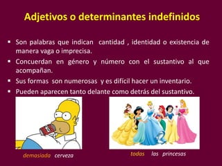 Adjetivos o determinantes indefinidos
 Son palabras que indican cantidad , identidad o existencia de
manera vaga o imprecisa.
 Concuerdan en género y número con el sustantivo al que
acompañan.
 Sus formas son numerosas y es difícil hacer un inventario.
 Pueden aparecen tanto delante como detrás del sustantivo.
demasiada cerveza todas las princesas
 