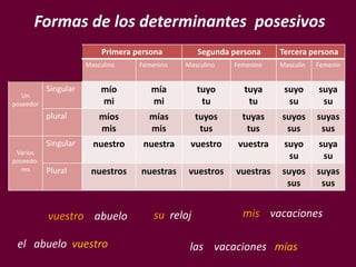 Primera persona Segunda persona Tercera persona
Masculino Femenino Masculino Femenino Masculin Femenin
Un
poseedor
Singular mío
mi
mía
mi
tuyo
tu
tuya
tu
suyo
su
suya
su
plural míos
mis
mías
mis
tuyos
tus
tuyas
tus
suyos
sus
suyas
sus
Varios
poseedo-
res
Singular nuestro nuestra vuestro vuestra suyo
su
suya
su
Plural nuestros nuestras vuestros vuestras suyos
sus
suyas
sus
Formas de los determinantes posesivos
mis vacacionesvuestro abuelo
el abuelo vuestro las vacaciones mías
su reloj
 