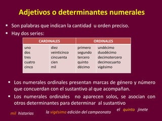 Adjetivos o determinantes numerales
 Son palabras que indican la cantidad u orden preciso.
 Hay dos series:
mil historias la vigésima edición del campeonato
CARDINALES ORDINALES
uno
dos
tres
cuatro
cinco
diez
veinticinco
cincuenta
cien
mil
primero
segundo
tercero
quinto
décimo
undécimo
duodécimo
decimotercero
decimocuarto
vigésimo
 Los numerales ordinales presentan marcas de género y número
que concuerdan con el sustantivo al que acompañan.
 Los numerales ordinales no aparecen solos, se asocian con
otros determinantes para determinar al sustantivo
el quinto jinete
 