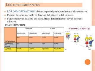  LOS DEMOSTRATIVOS: ubican espacial y temporalmente al sustantivo
 Forma: Palabra variable en función del género y del número
 Función: Si van delante del sustantivo: determinante; si van detrás :
adjetivo
CLASIFICACIÓN
LOS DETERMINANTES
PROXIMIDAD
SINGULAR PLURAL
MASCULINO FEMENINO MASCULINO FEMENINO
ESTE ESTA ESTOS ESTAS
DISTANCIA
MEDIA
ESE ESA ESOS ESTAS
LEJANÍA AQUEL AQUELLA AQUELLOS AQUELLAS
 