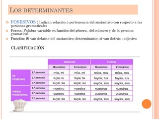  POSESIVOS : Indican relación o pertenencia del sustantivo con respecto a las
personas gramaticales
 Forma: Palabra variable en función del género, del número y de la persona
gramatical.
 Función: Si van delante del sustantivo: determinante; si van detrás : adjetivo
LOS DETERMINANTES
CLASIFICACIÓN
 