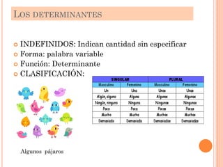  INDEFINIDOS: Indican cantidad sin especificar
 Forma: palabra variable
 Función: Determinante
 CLASIFICACIÓN:
LOS DETERMINANTES
Algunos pájaros
 