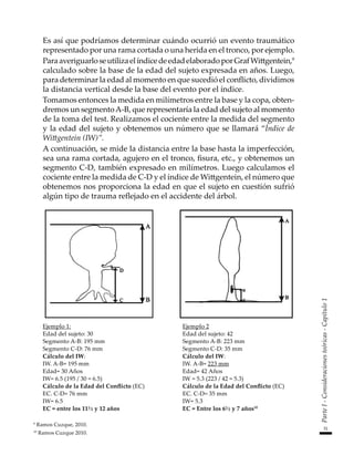31
Parte
I
-
Consideraciones
teóricas
-
Capítulo
1
	 Es así que podríamos determinar cuándo ocurrió un evento traumático
representado por una rama cortada o una herida en el tronco, por ejemplo.
	 ParaaveriguarloseutilizaelíndicedeedadelaboradoporGrafWittgentein,9
calculado sobre la base de la edad del sujeto expresada en años. Luego,
para determinar la edad al momento en que sucedió el conflicto, dividimos
la distancia vertical desde la base del evento por el índice.
	 Tomamos entonces la medida en milímetros entre la base y la copa, obten-
dremos un segmentoA-B, que representaría la edad del sujeto al momento
de la toma del test. Realizamos el cociente entre la medida del segmento
y la edad del sujeto y obtenemos un número que se llamará “Índice de
Wittgentein (IW)”.
	 A continuación, se mide la distancia entre la base hasta la imperfección,
sea una rama cortada, agujero en el tronco, fisura, etc., y obtenemos un
segmento C-D, también expresado en milímetros. Luego calculamos el
cociente entre la medida de C-D y el índice de Wittgentein, el número que
obtenemos nos proporciona la edad en que el sujeto en cuestión sufrió
algún tipo de trauma reflejado en el accidente del árbol.
Ejemplo 1:
Edad del sujeto: 30
Segmento A-B: 195 mm
Segmento C-D: 76 mm
Cálculo del IW:
IW. A-B= 195 mm
Edad= 30 Años
IW= 6.5 (195 / 30 = 6.5)
Cálculo de la Edad del Conflicto (EC)
EC. C-D= 76 mm
IW= 6.5
EC = entre los 11½ y 12 años
Ejemplo 2
Edad del sujeto: 42
Segmento A-B: 223 mm
Segmento C-D: 35 mm
Cálculo del IW:
IW. A-B= 223 mm
Edad= 42 Años
IW = 5.3 (223 / 42 = 5.3)
Cálculo de la Edad del Conflicto (EC)
EC. C-D= 35 mm
IW= 5.3
EC = Entre los 6½ y 7 años10
9
Ramos Cuzque, 2010.
10
Ramos Cuzque 2010.
 