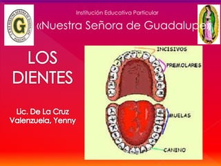 Institución Educativa Particular
«Nuestra Señora de Guadalupe»
 