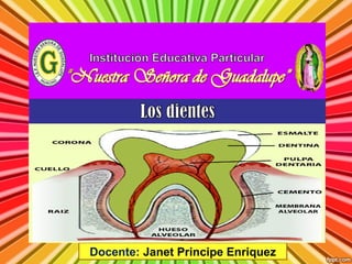 Docente: Janet Principe Enriquez
 