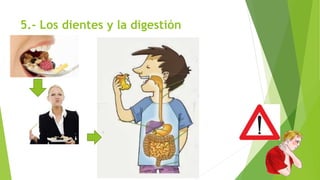 5.- Los dientes y la digestión
 