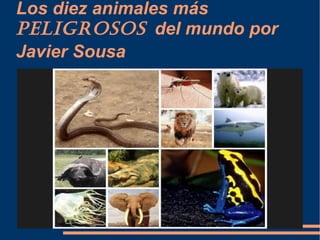 Los diez animales más
peligrosos del mundo por
Javier Sousa
 