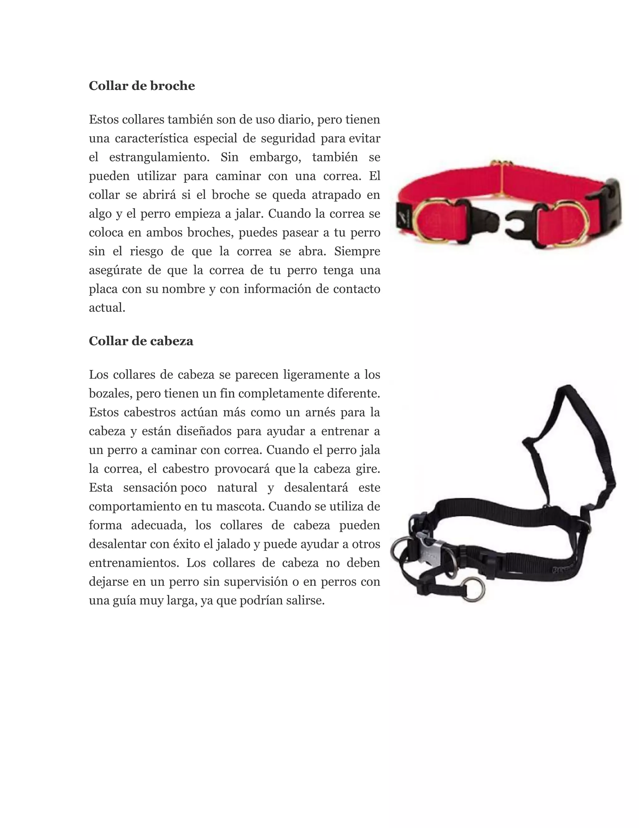 Los diferentes tipos collares perros