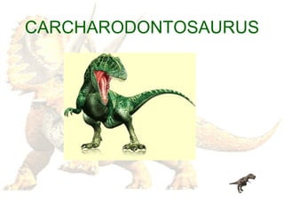 CARCHARODONTOSAURUS 