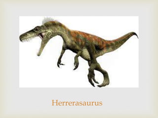 Herrerasaurus
 