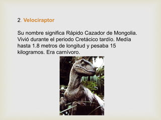 2. Velociraptor
Su nombre significa Rápido Cazador de Mongolia.
Vivió durante el periodo Cretácico tardío. Medía
hasta 1.8 metros de longitud y pesaba 15
kilogramos. Era carnívoro.
 