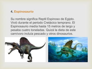 4. Espinosaurio
Su nombre significa Reptil Espinoso de Egipto.
Vivió durante el periodo Cretácico temprano. El
Espinosaurio medía hasta 15 metros de largo y
pesaba cuatro toneladas. Quizá la dieta de este
carnívoro incluía pescado y otros dinosaurios.
 