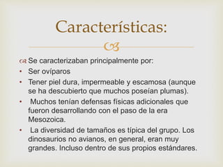 
 Se caracterizaban principalmente por:
• Ser ovíparos
• Tener piel dura, impermeable y escamosa (aunque
se ha descubierto que muchos poseían plumas).
• Muchos tenían defensas físicas adicionales que
fueron desarrollando con el paso de la era
Mesozoica.
• La diversidad de tamaños es típica del grupo. Los
dinosaurios no avianos, en general, eran muy
grandes. Incluso dentro de sus propios estándares.
Características:
 
