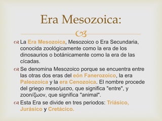 
Era Mesozoica:
 La Era Mesozoica, Mesozoico o Era Secundaria,
conocida zoológicamente como la era de los
dinosaurios o botánicamente como la era de las
cícadas.
 Se denomina Mesozoico porque se encuentra entre
las otras dos eras del eón Fanerozoico, la era
Paleozoica y la era Cenozoica. El nombre procede
del griego meso/μεσο, que significa "entre", y
zoon/ζωον, que significa "animal".
 Esta Era se divide en tres periodos: Triásico,
Jurásico y Cretácico.
 