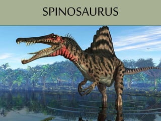SPINOSAURUS
 