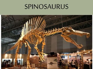 SPINOSAURUS
 