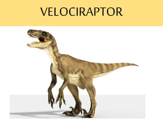 VELOCIRAPTOR
 