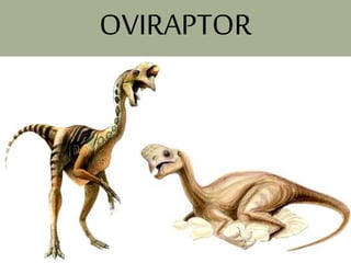 OVIRAPTOR
 