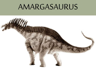 AMARGASAURUS
 
