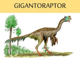 GIGANTORAPTOR
 