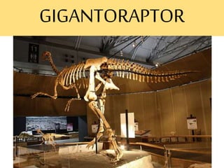 GIGANTORAPTOR
 