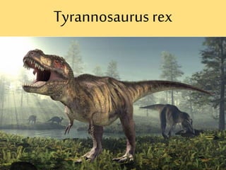 Tyrannosaurus rex
 