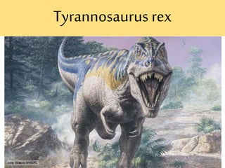 Tyrannosaurus rex
 