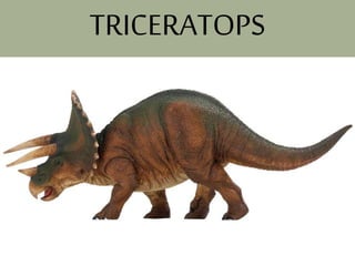 TRICERATOPS
 