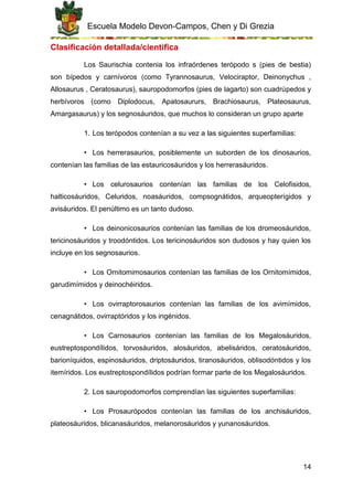 Escuela Modelo Devon-Campos, Chen y Di Grezia
14
Clasificación detallada/cientifica
Los Saurischia contenia los infraórdenes terópodo s (pies de bestia)
son bípedos y carnívoros (como Tyrannosaurus, Velociraptor, Deinonychus ,
Allosaurus , Ceratosaurus), sauropodomorfos (pies de lagarto) son cuadrúpedos y
herbívoros (como Diplodocus, Apatosaururs, Brachiosaurus, Plateosaurus,
Amargasaurus) y los segnosáuridos, que muchos lo consideran un grupo aparte
1. Los terópodos contenían a su vez a las siguientes superfamilias:
• Los herrerasaurios, posiblemente un suborden de los dinosaurios,
contenían las familias de las estauricosáuridos y los herrerasáuridos.
• Los celurosaurios contenían las familias de los Celofisidos,
halticosáuridos, Celuridos, noasáuridos, compsognátidos, arqueopterígidos y
avisáuridos. El penúltimo es un tanto dudoso.
• Los deinonicosaurios contenían las familias de los dromeosáuridos,
tericinosáuridos y troodóntidos. Los tericinosáuridos son dudosos y hay quien los
incluye en los segnosaurios.
• Los Ornitomimosaurios contenían las familias de los Ornitomímidos,
garudimímidos y deinochéiridos.
• Los ovirraptorosaurios contenían las familias de los avimímidos,
cenagnátidos, ovirraptóridos y los ingénidos.
• Los Carnosaurios contenían las familias de los Megalosáuridos,
eustreptospondílidos, torvosáuridos, alosáuridos, abelisáridos, ceratosáuridos,
barioníquidos, espinosáuridos, driptosáuridos, tiranosáuridos, oblisodóntidos y los
itemíridos. Los eustreptospondílidos podrían formar parte de los Megalosáuridos.
2. Los sauropodomorfos comprendían las siguientes superfamilias:
• Los Prosaurópodos contenían las familias de los anchisáuridos,
plateosáuridos, blicanasáuridos, melanorosáuridos y yunanosáuridos.
 