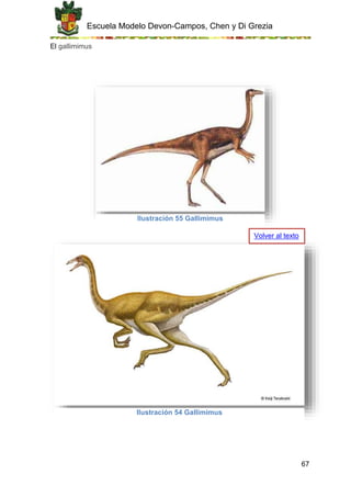 Escuela Modelo Devon-Campos, Chen y Di Grezia
67
El gallimimus
Ilustración 55 Gallimimus
Ilustración 54 Gallimimus
Volver al texto
 