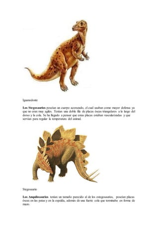 Iguanodonte
Los Stegosaurios poseían un cuerpo acorazado, el cual usaban como mayor defensa ya
que no eran muy agiles. Tenían una doble fila de placas óseas triangulares a lo largo del
dorso y la cola. Se ha llegado a pensar que estas placas estaban vascularizadas y que
servían para regular la temperatura del animal.
Stegosaurio
Los Anquilosaurios tenían un tamaño parecido al de los estegosaurios, poseían placas
óseas en las patas y en la espalda, además de una fuerte cola que terminaba en forma de
mazo.
 