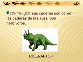 ORNITISQUIOS: sus caderas son como
las caderas de las aves. Son
herbívoros.
TRICERAPTOR
 