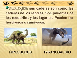 SAURISQUIOS: sus caderas son como las
caderas de los reptiles. Son parientes de
los cocodrilos y los lagartos. Pueden ser
herbívoros o carnívoros.
DIPLODOCUS TYRANOSAURIO
 
