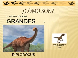 ¿CÓMO SON?
 HAY DINOSAURIOS
GRANDES Y
PEQUEÑOS.
VELOCIRAPT
OR
DIPLODOCUS
 