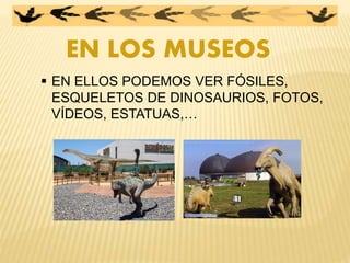 EN LOS MUSEOS
 EN ELLOS PODEMOS VER FÓSILES,
ESQUELETOS DE DINOSAURIOS, FOTOS,
VÍDEOS, ESTATUAS,…
 