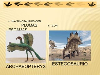  HAY DINOSAURIOS CON
PLUMAS Y CON
ESCAMAS.
ESTEGOSAURIO
ARCHAEOPTERYX
 