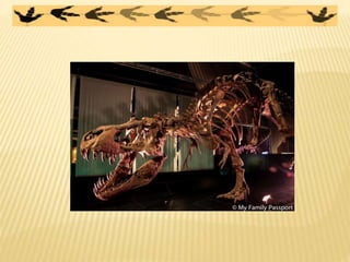 Los dinosaurios mayores