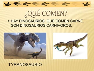 ¿QUÉ COMEN?
 HAY DINOSAURIOS QUE COMEN CARNE.
SON DINOSAURIOS CARNIVOROS.
TYRANOSAURIO
 