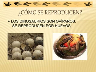 ¿CÓMO SE REPRODUCEN?
 LOS DINOSAURIOS SON OVÍPAROS.
SE REPRODUCEN POR HUEVOS.
 