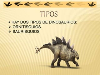 TIPOS
 HAY DOS TIPOS DE DINOSAURIOS:
 ORNITISQUIOS
 SAURISQUIOS
 