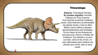 Triceratops
Especie: Triceratops Horridus
Su nombre significa: Horrible
Cabeza con Tres Cuernos.
Vivió durante el periodo Cretácico
tardío. Este herbívoro se alimentaba
de plantas duras y ricas en fibra.
Medía nueve metros y pesaba
aproximadamente seis toneladas.
Era el mayor de los dinosaurios
cornudos que vivieron a finales del
Cretácico. Sus dientes y su pico
curvado, como el de un loro, no
eran adecuados para masticar las
plantas que comía, pero sí para
cortar.
 